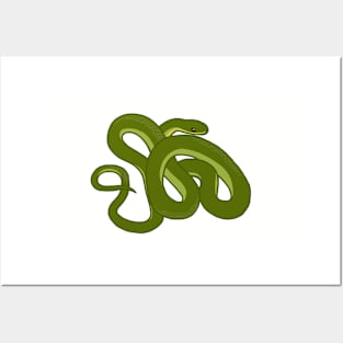 Rough Green Snake Posters and Art